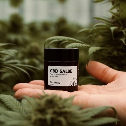 CBD Salbe